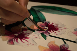 aquarelle Manie V.