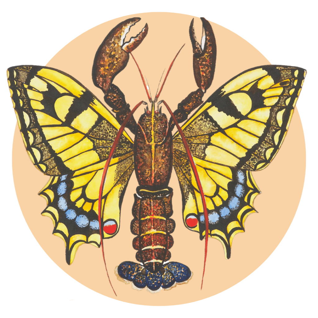C'est une aquarelle réalisée par Manie V, inspirée du Surréalisme elle représente un homard papillon