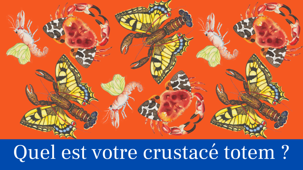image de couverture composée des aquarelles de Manie V. représentant des crustacés papillons