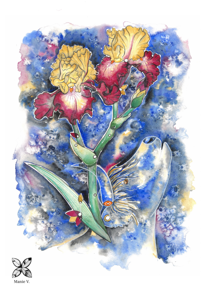 Affiche réalisée par Manie V., impression d'une aquarelle exclusive sur le signe du taureau