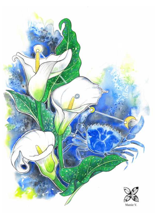 Affiche astro du signe du cancer réalisée d'après une aquarelle de Manie V.